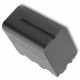 Batterie NP-F970 pour caméscope Sony DCR-TRV900E
 - Extra Power