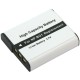 Batterie NP-BG1 pour appareil photo Sony DSC-HX5V